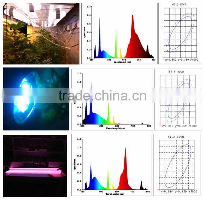 red and blue color induction vegetative grow lamps