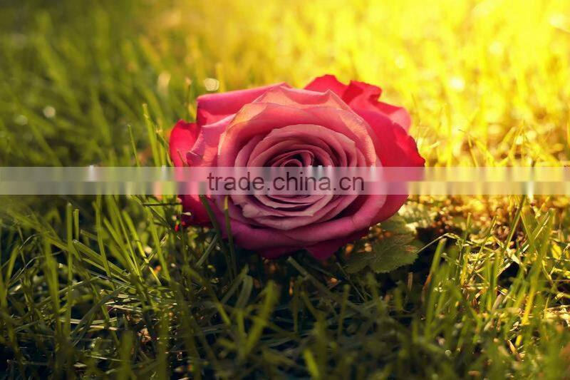 65'',70'',84'' UHD dispaly PC ,TV projector all in one LCD touch screen