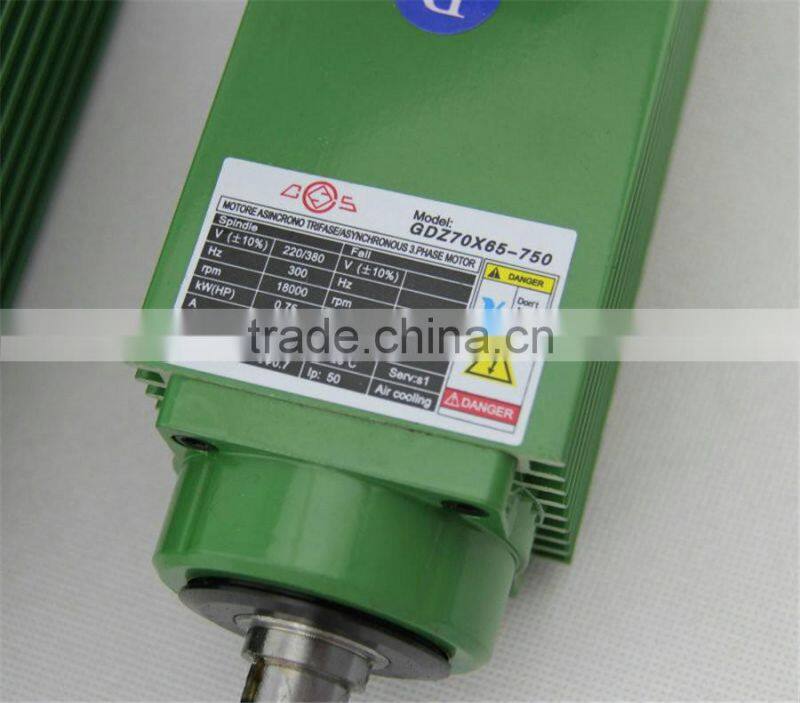 GDZ70X65-750 Toauto electric motor spindle for cnc machine