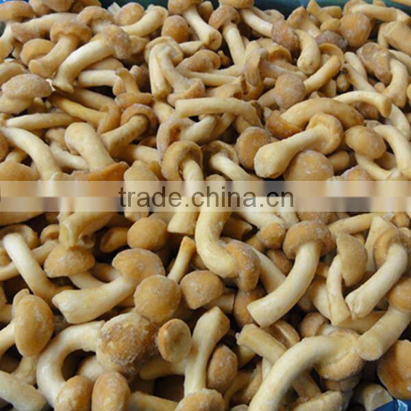 Price For Purchase Mameko Iqf 2015 Corp