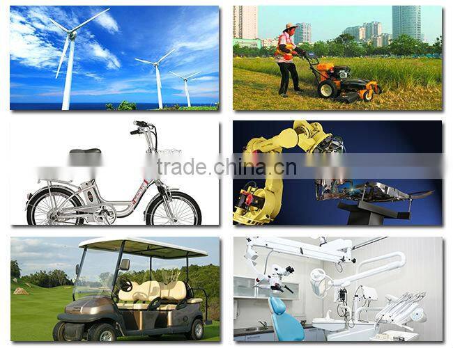 micro mini brushless motor with 36v brushless motor controller