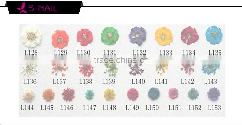 Natural dried flower decoration , nail art dried flowers