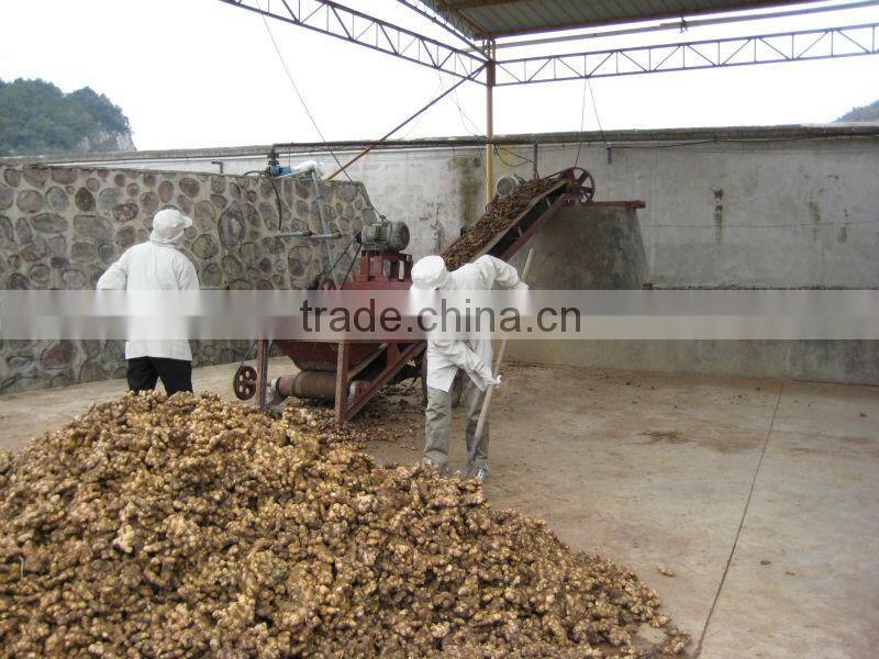 Dry ginger slices white color/dried ginger whole