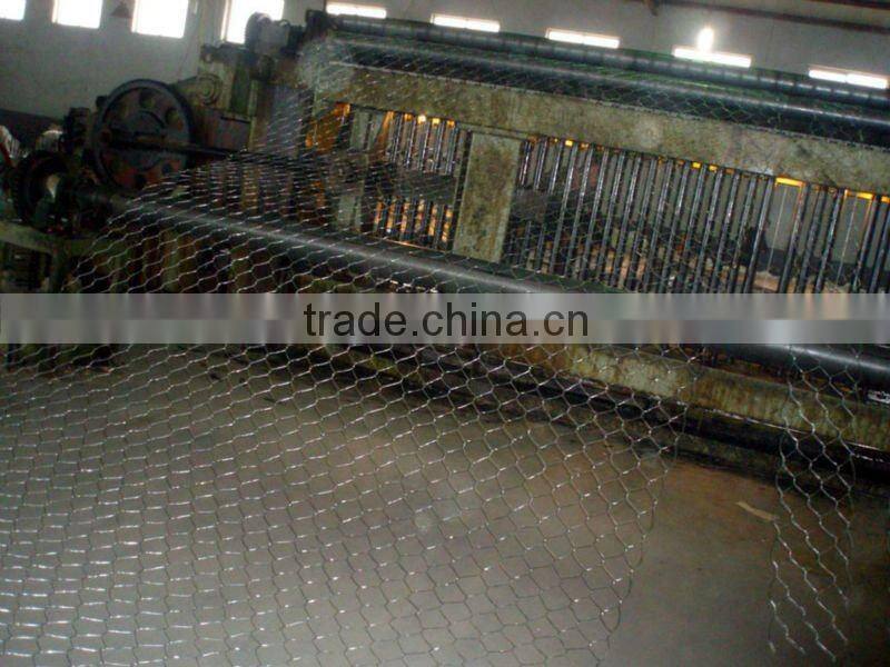 hexagonal netting, twisted mesh supplier (electro galvanized/ hot dipped galvanized/pvc)