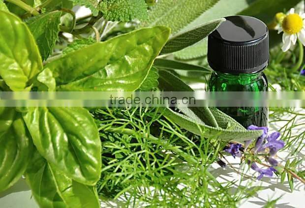 100% Natural Basil Oil For Sale | 100% Pure Basil Essential Oil For Export From Borg Export