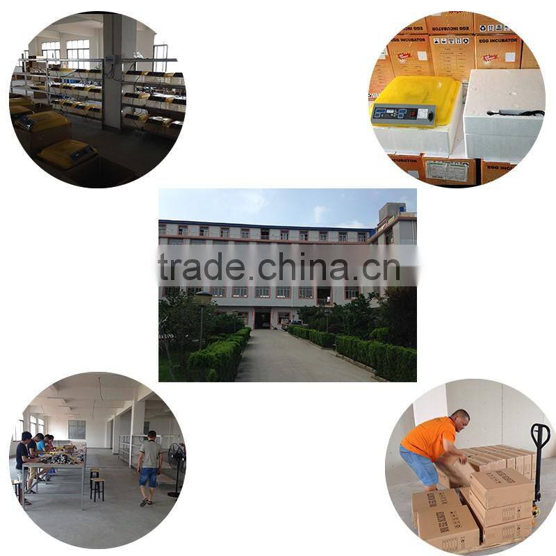 Capacity 9856 chicken eggs cheap egg incubator for sale