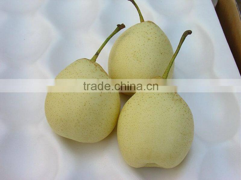 Super Shandong Pear Packed in Carton