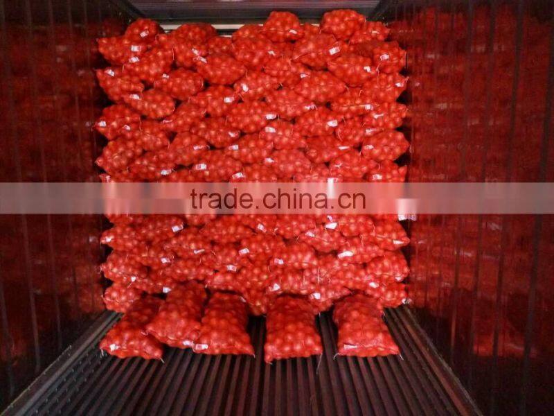 wholesale fresh yellow onion with good quality