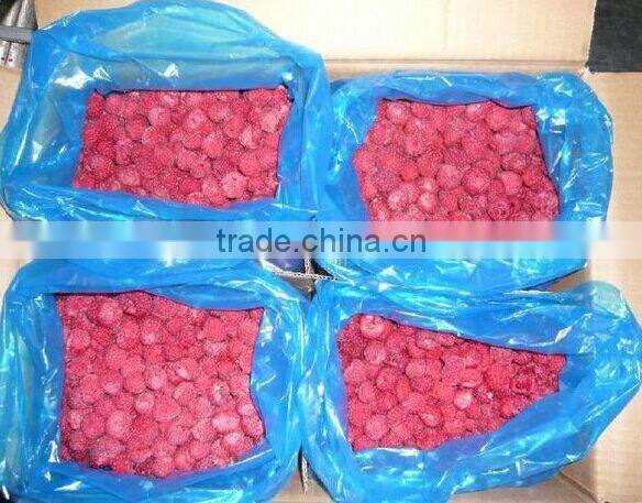 Frozen Berry Fruits/Frozen Raspberry