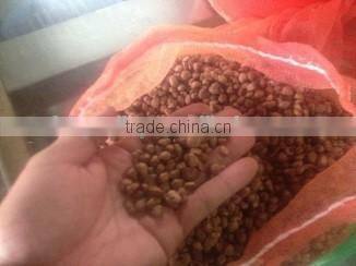 Jaboticaba Seeds Jabuticaba Guapuru Hivapuru Sabara Ybapuru Brazilian Grape Tree Seeds For Growing