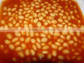 Chinese canned white kidney beans in tomato sauce