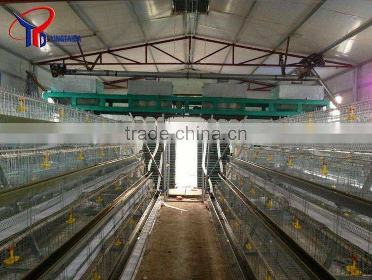 galvanized wire mesh antique hanging bird cages (ISO9001 factory)