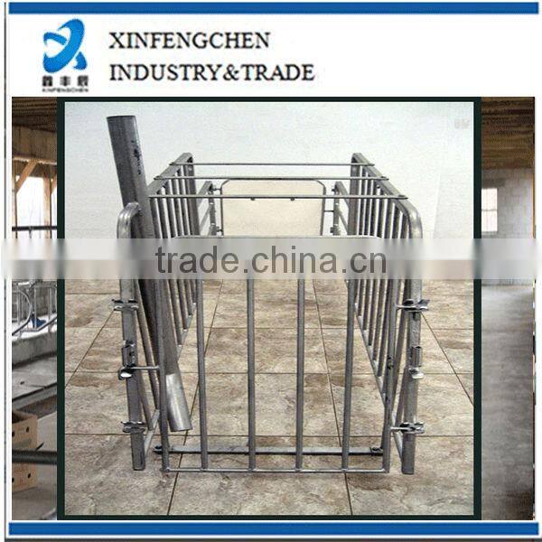 livestock equipment-gestation stall