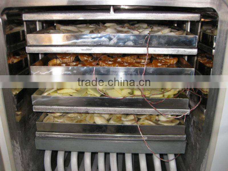 Hot Sale Food Freeze Dryer