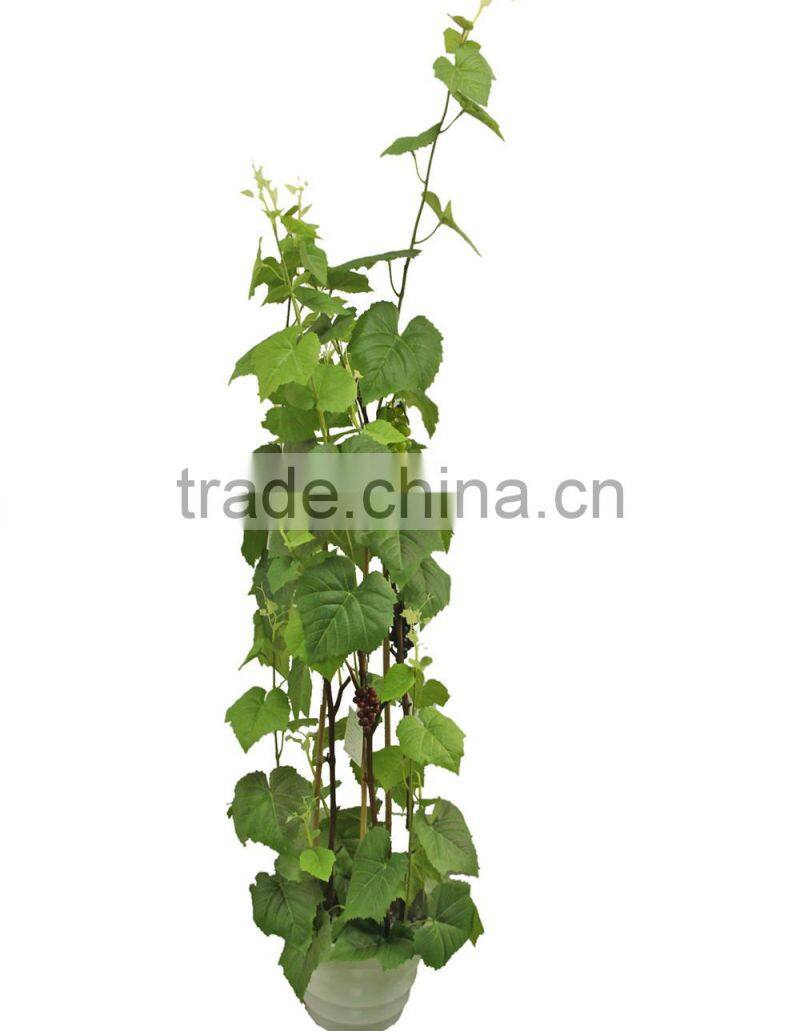 Favorable price artificial banana potted plant,fake artificial plants banana bonsai tree