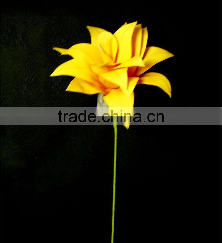 wholesale alibaba large indoor tropical plants