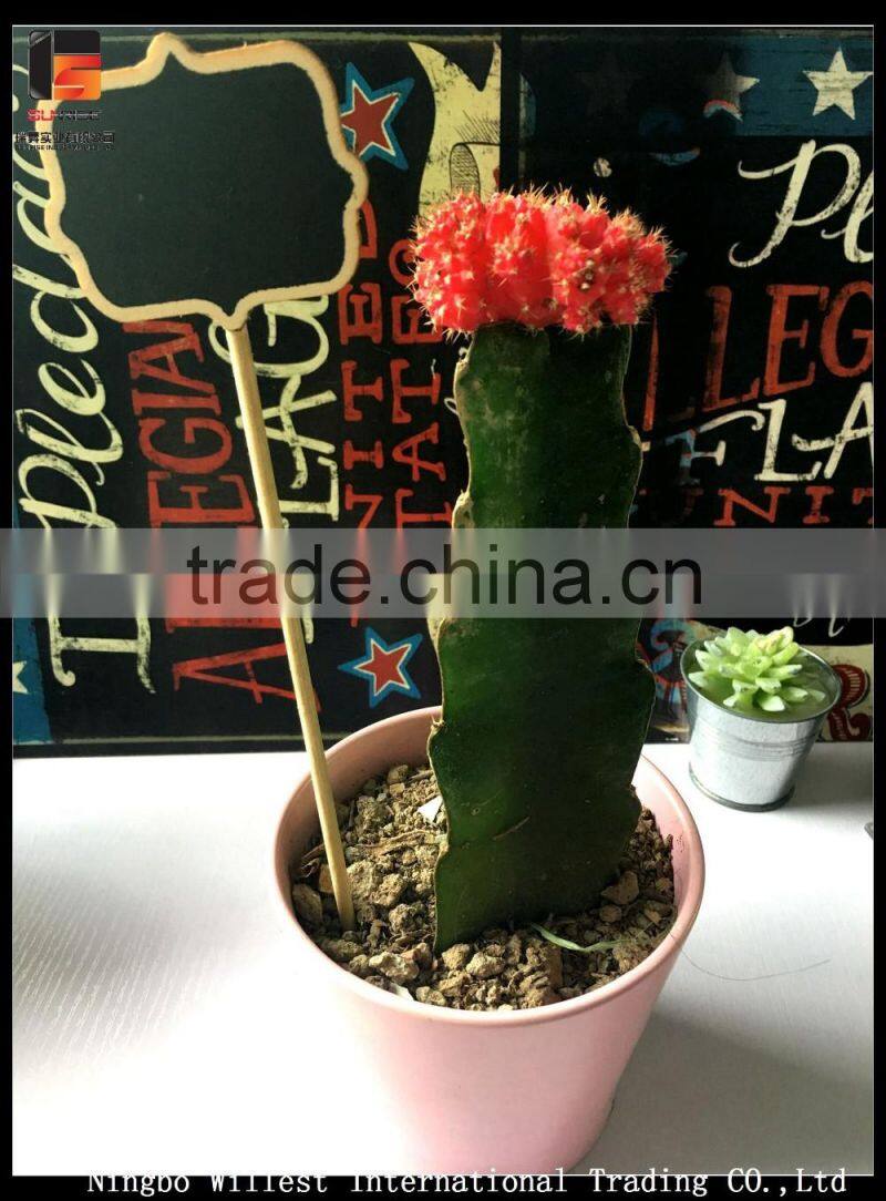 plastic nursery plant label flower standing tag