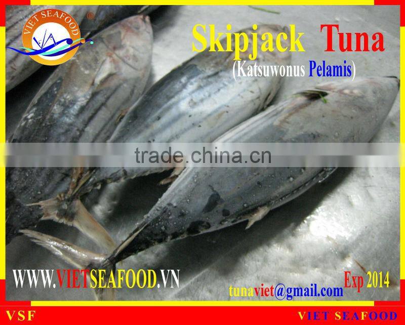 FROZEN W/R SKIPJACK TUNA