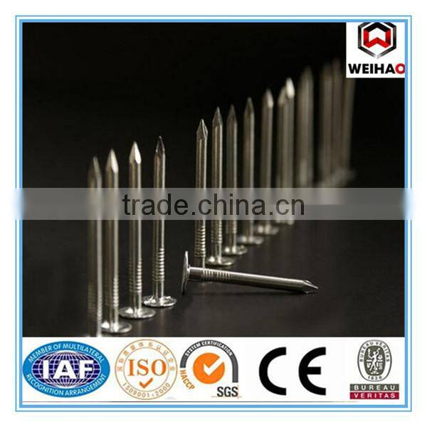 Building common wire nail, Construction Common nail iron nail factory
