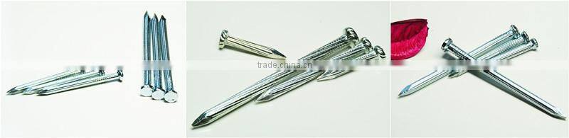 sell cheap galvanized concrete nails/nails