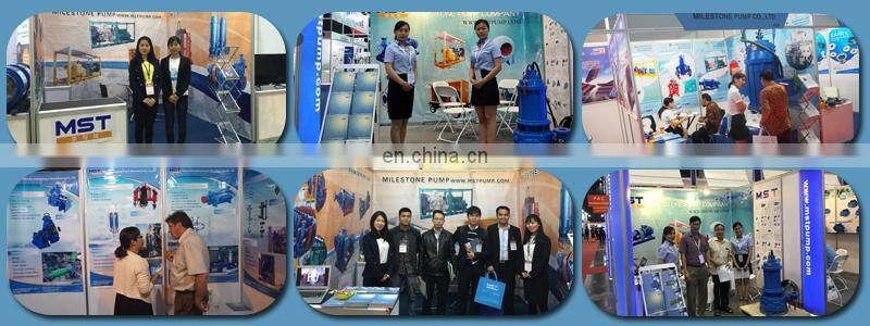 Shijiazhuang Standard Horizontal Slurry Pump