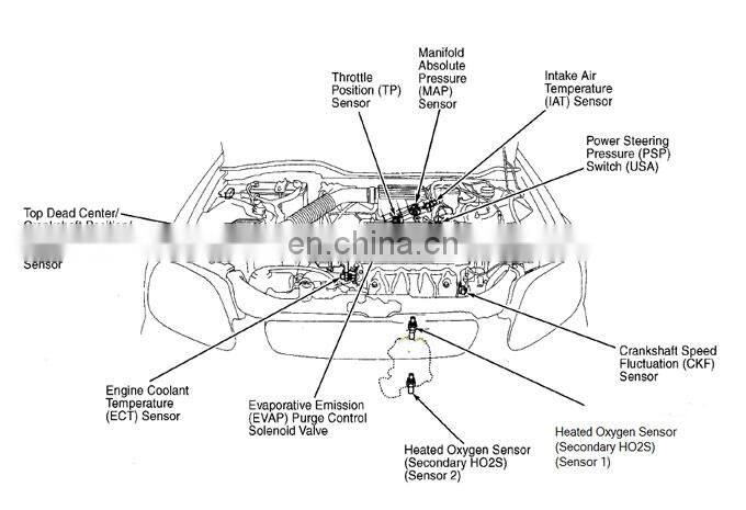 90919-A5004 Crankshaft Position Sensor for Toyota For Lexus Corolla RAV4 Camry CT200h ES300h