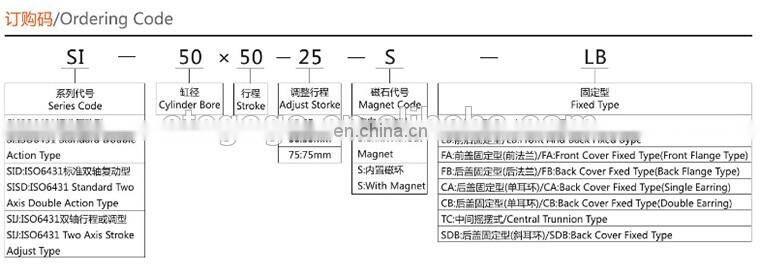 SI pneumatic cylinder iso standard