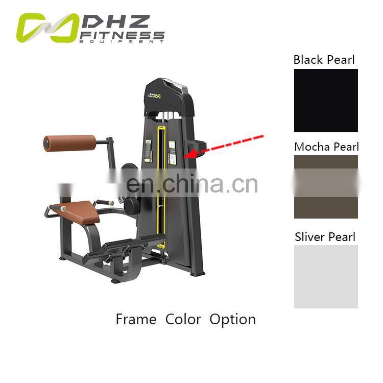 Most Popular Gym Muscles Worked Machine Back Extension Exercise