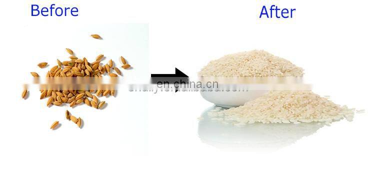 Professional auto rice mill/portable rice milling machine/mini rice mill plant