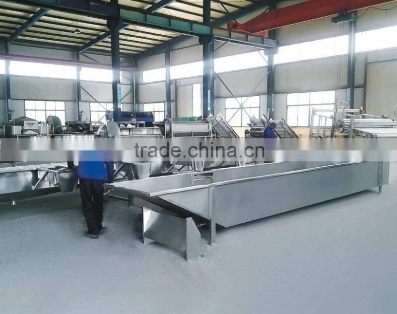 10 tons Pineapple production line