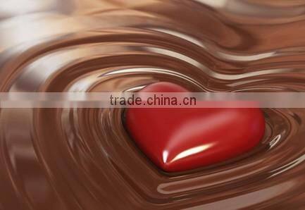 304 stainless steel chocolate melting machine