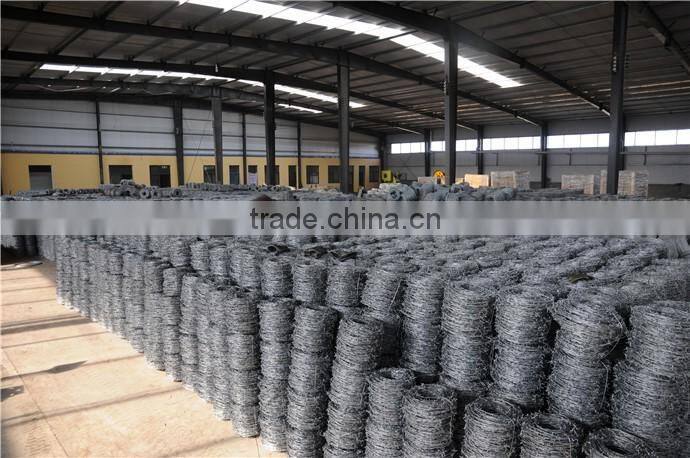 High quality 12#*12# galvanized barbed wire in China