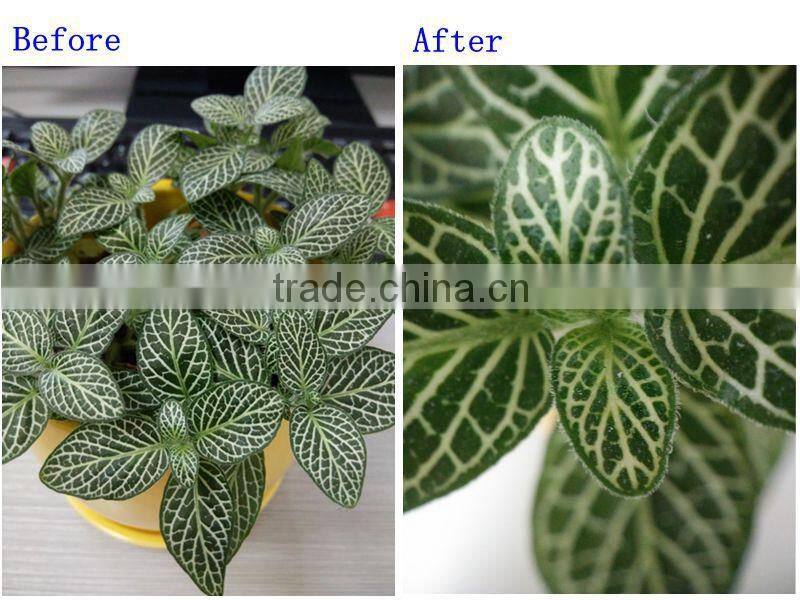 mobile phone accessories clip lens 20X macro phone fresnel camera lens