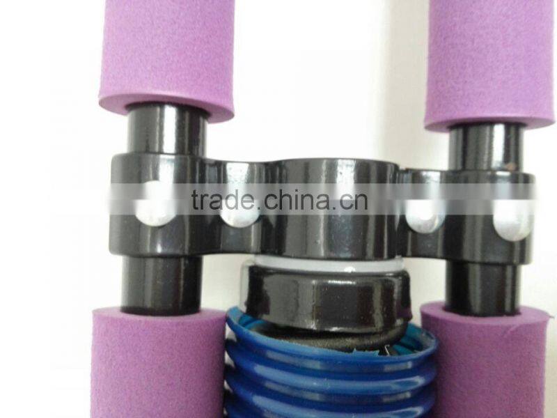 Hot elegant purple pogo stick