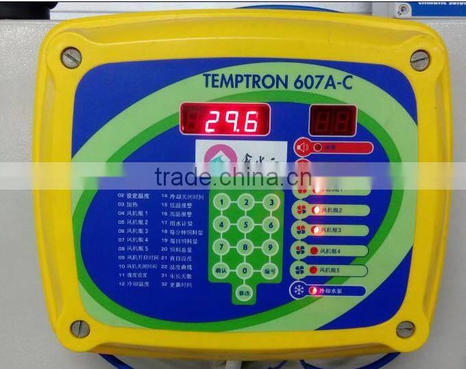 broiler ground raising equipment chicken house