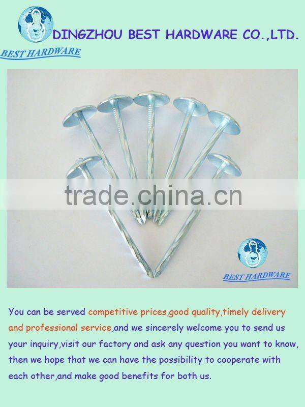 9gauge galvanized umbrella head ring shank roofing nail