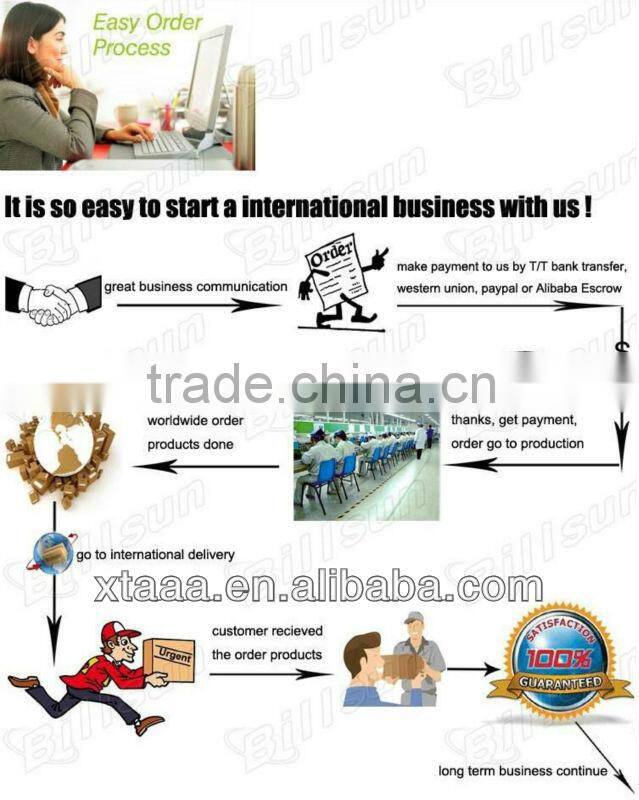 12V Xenon Auto Lamp With 11th Years Gold Supplier In Alibaba (XT3000)
