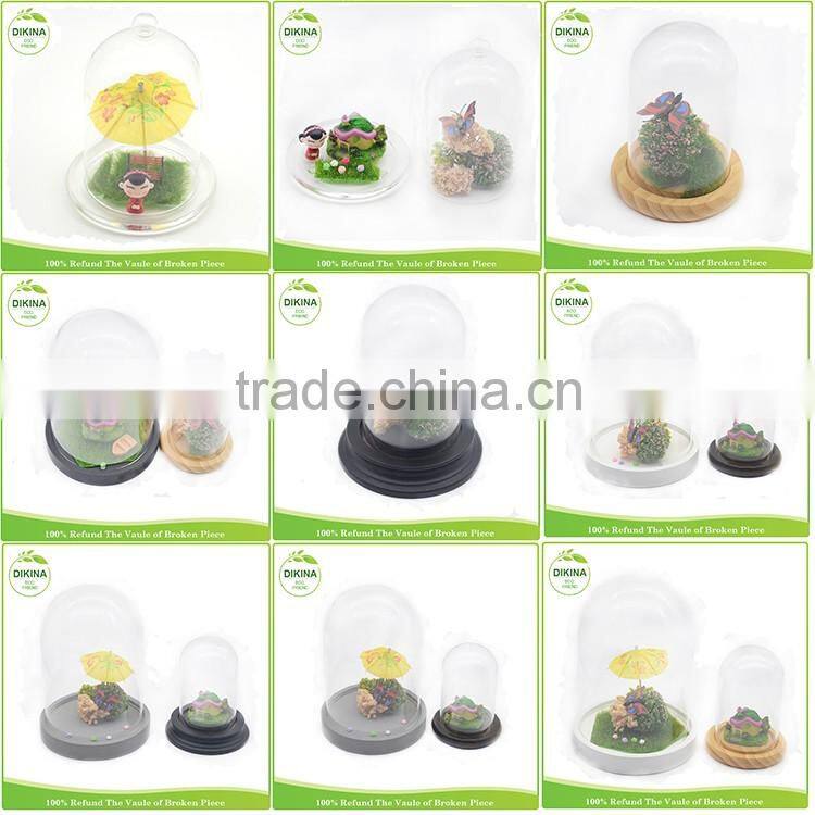 bulk buy from china butterfly , tillandsia plants , miniature fairy garden in 30cm Dome Clear Figurine Display glass cloche