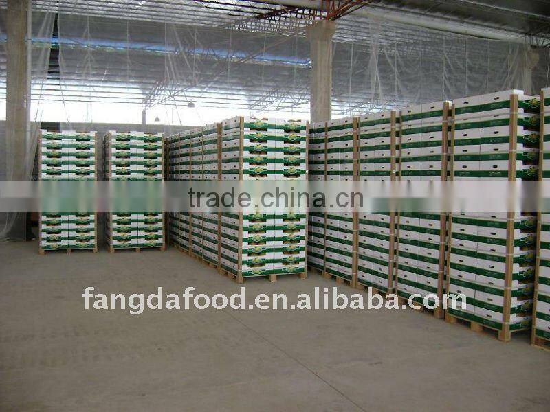 Fresh Chinese Honey Pomelo Price