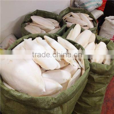 New Crop 2015 Chinese Os Sepiae