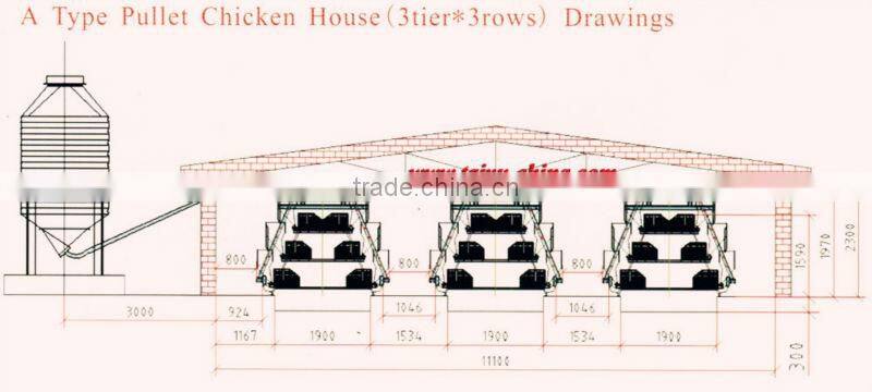 Taiyu full automatic poultry layers equipment