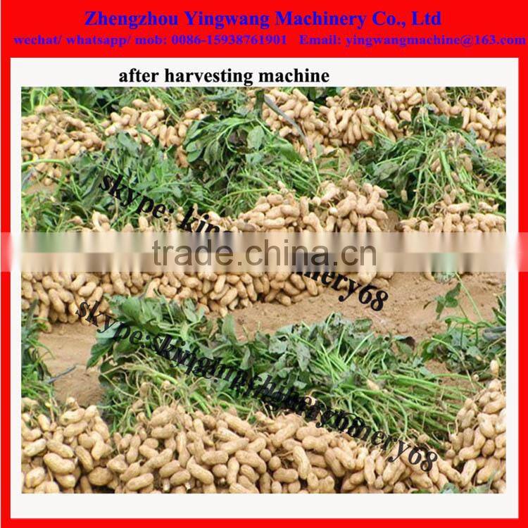 yingwang brand garlic harvesting machine (0086-15938761901)