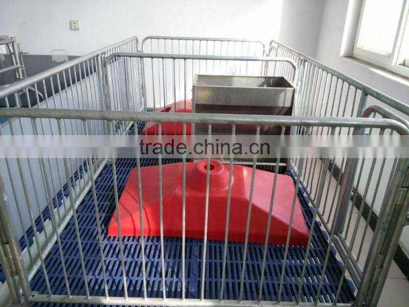 Pig farm use pig farrowing crates,animal cages