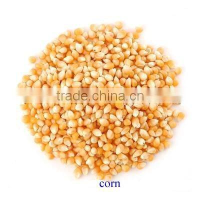 High Efficiency Belt Type Bucket Elevator