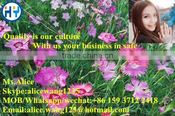 Home use grass cutter machine/grass cutter