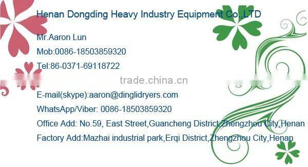 New energy saving 200 kw Rice husk/wood gasifier with power generator