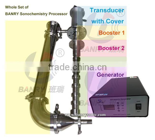 BANRY Ultrasonic vegetable herbal processor