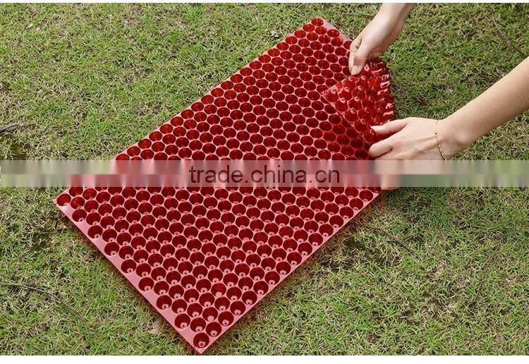 434cells hybrid rice seed sprouts, hydroponic propagator, 70g