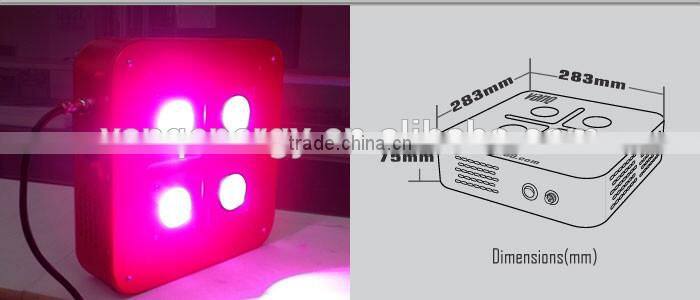 300w cob led indoor grow light kits , grow lamp for grow tent kit