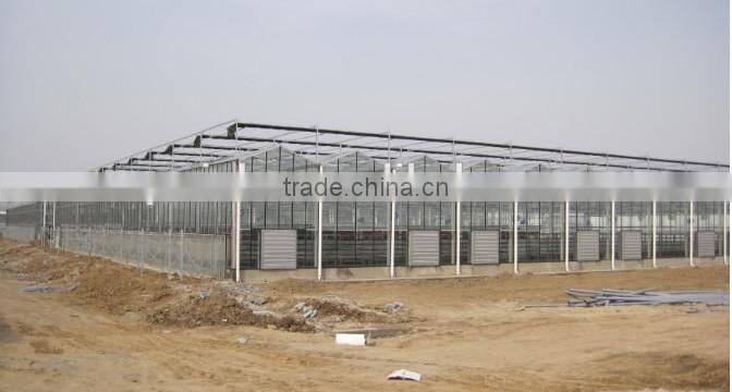 High Quality Waterproof Transparent Glass Greenhouse